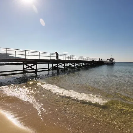 William's - Third Special 公寓 *