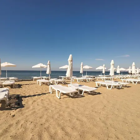 William's - Third Special 圣弗拉斯