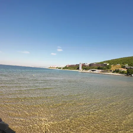 William's - Third Special * 圣弗拉斯