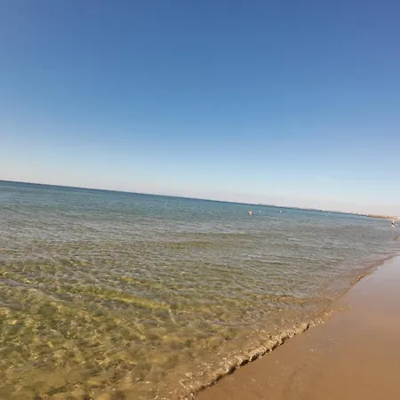 William's - Third Special *