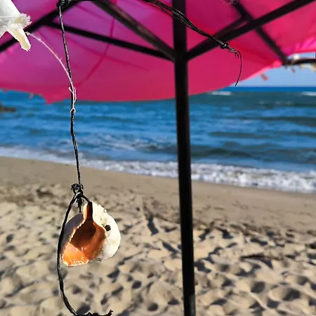 William's - Third Special