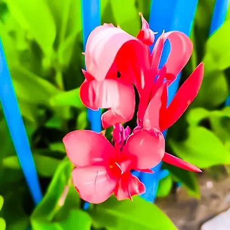 William's - Third Special 公寓 *