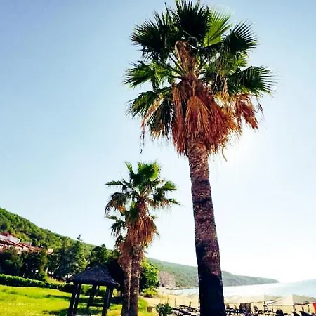 公寓 William's - Third Special *