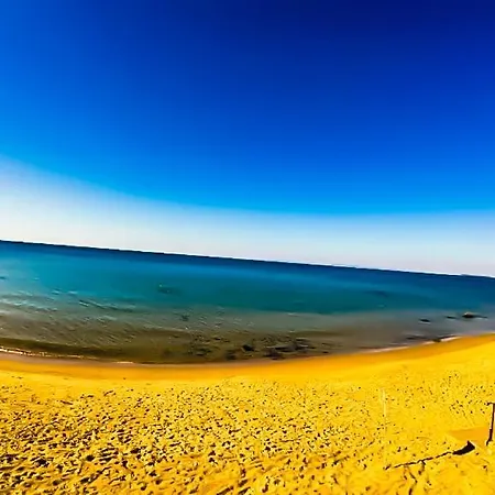 William's - Third Special * Sveti Vlas