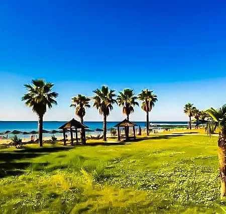 William's - Third Special Apartament *