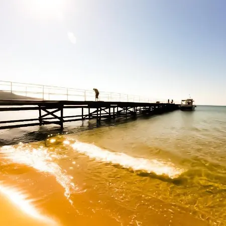 William's - Third Special Appartamento *