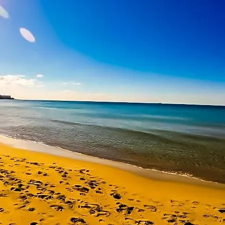 William's - Third Special * Szveti Vlasz