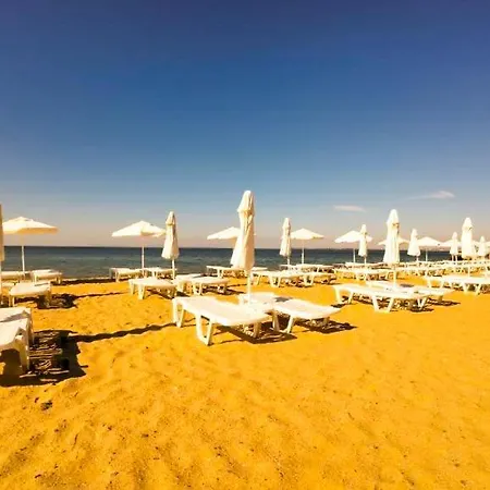 William's - Third Special