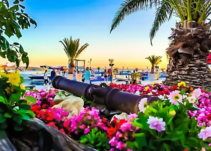 Appartement William's - Third Special Sveti Vlas