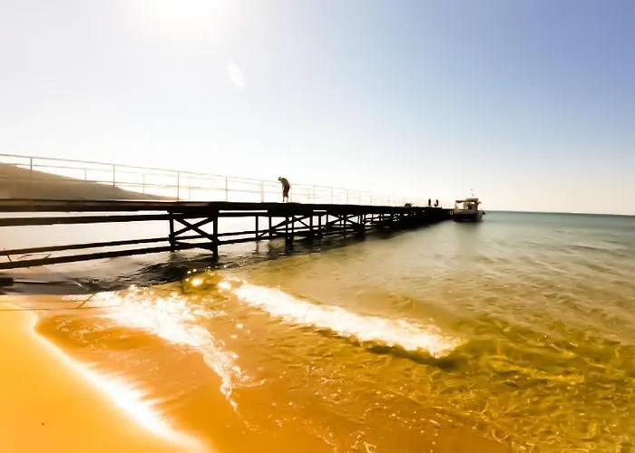 William's - Third Special Appartement *