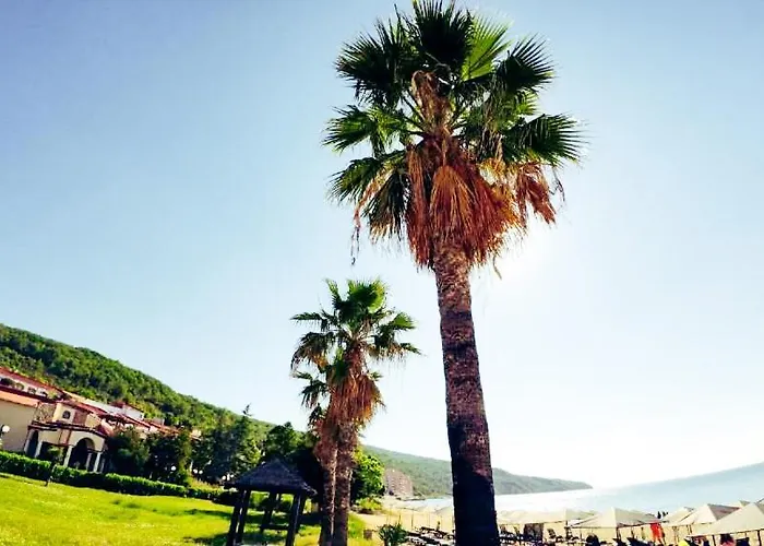 Appartement William's - Third Special *